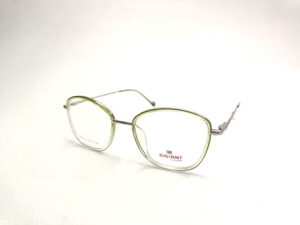 Cats Eye Butterfly Eyeglasses